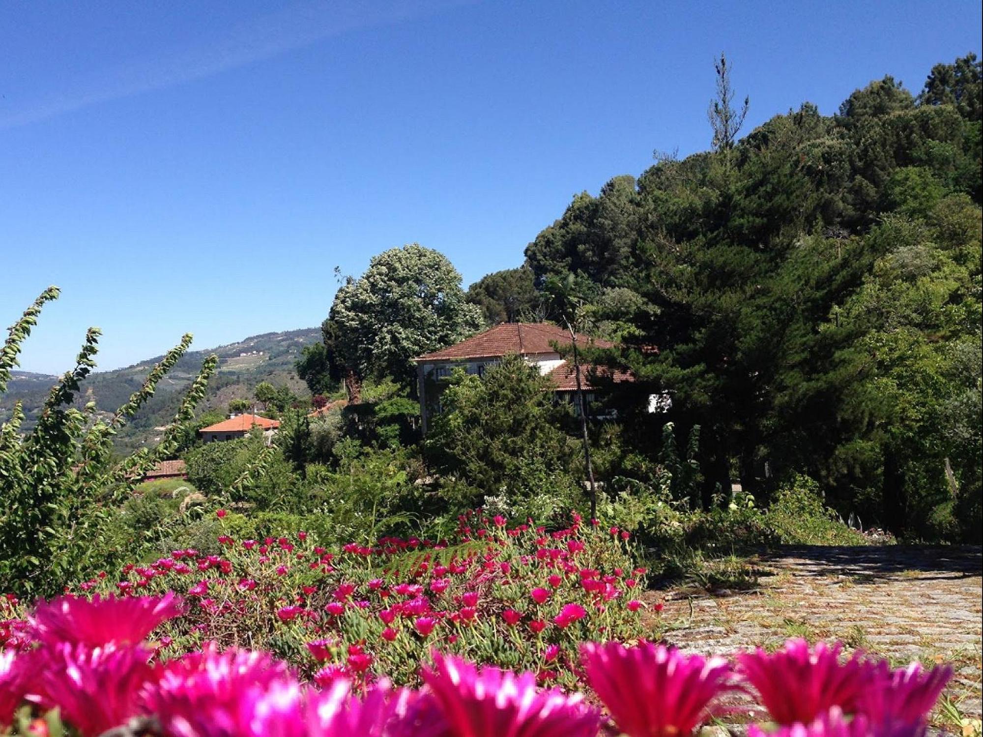 Arsdurium Douro Hotel Синфайнш Номер фото