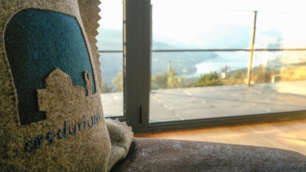 Arsdurium Douro Hotel Синфайнш Номер фото
